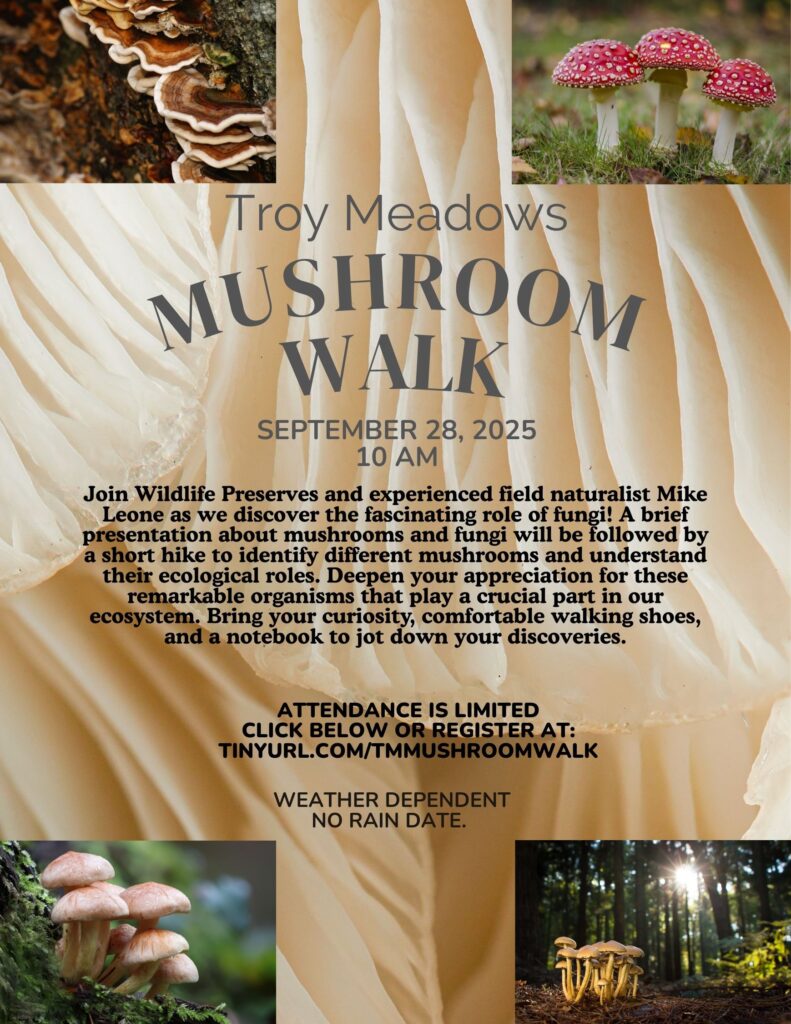 2025 Mushroom Walk Flyer